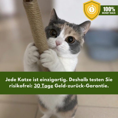 Matatabi Kitty Sticks