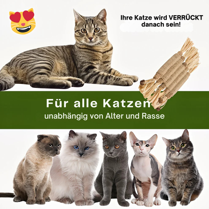 Matatabi Kitty Sticks