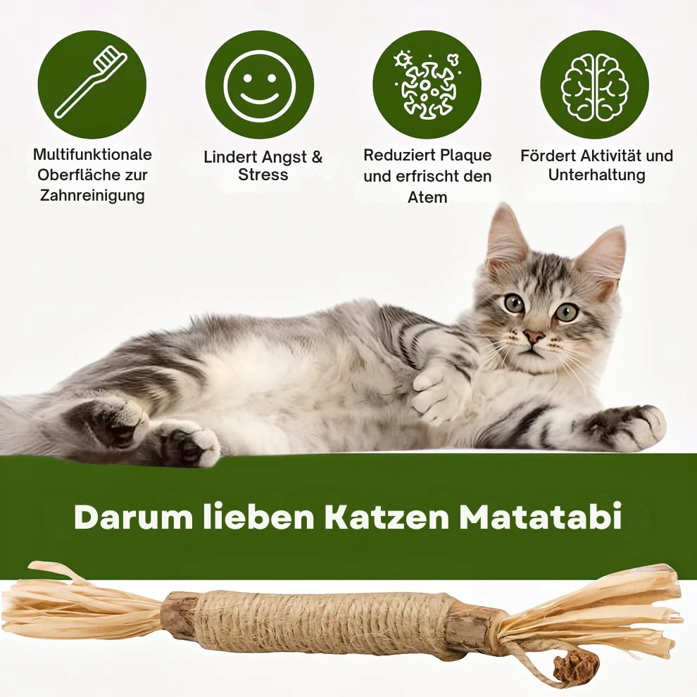 Matatabi Kitty Sticks